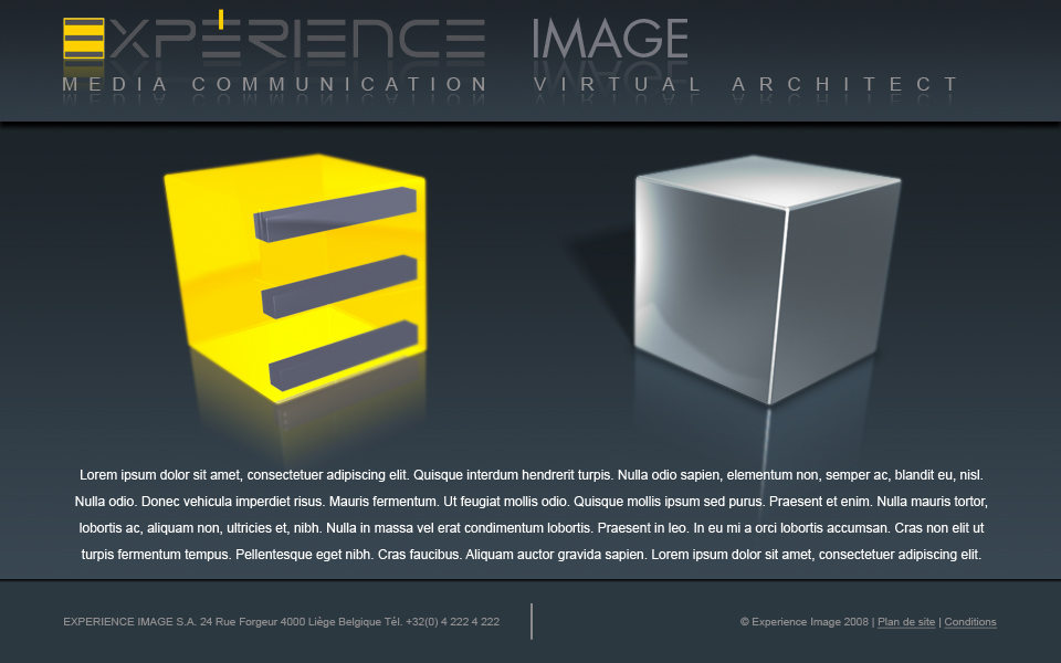 EXPERIENCE IMAGE : 2008 : Réalisation de layouts pour le site de la société Expérience Image dans le cadre d'un stage en entreprise.

