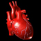 COEUR : 2006 : Modélisation d'un coeur pour une video éducative.
